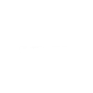 Zidek